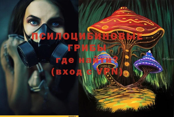 герыч Абаза