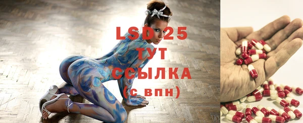 ECSTASY Болотное