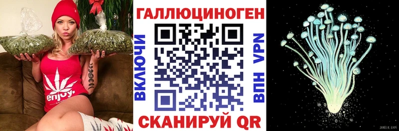 Галлюциногенные грибы Cubensis  Ряжск 